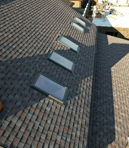 Laminated shingles, DRAGON PREMIUM Series, Plum