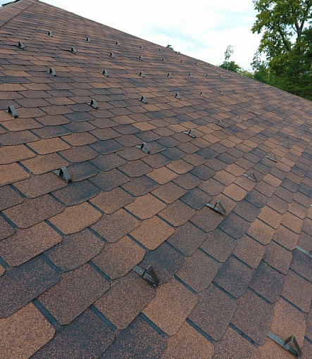 Bitumen Shingles, Series Premium, Collection Zurich, Color Coffee - 81