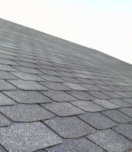 Bitumen Shingles, Series Premium, Collection Zurich, Color Fladen - 2