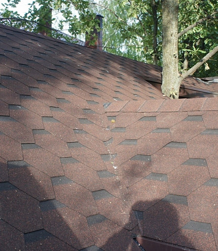 Bitumen Shingles, Series Premium, Collection Cologne, Color Cinnamon - 3