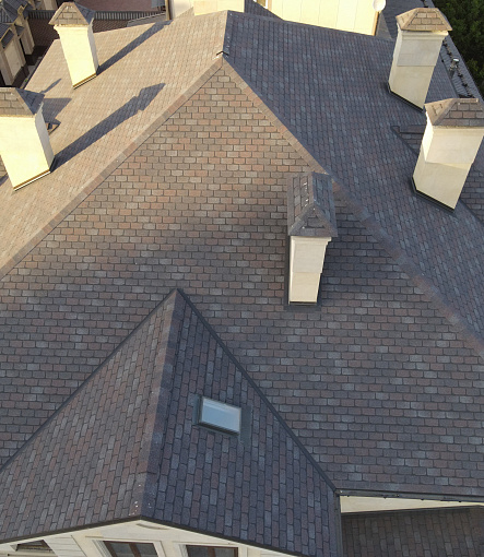 Bitumen Shingles, PREMIUM, GENEVA, Raisin - 3