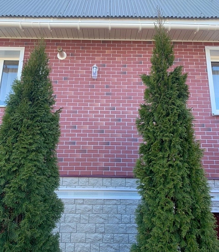 Facade Panels, BERG - 3