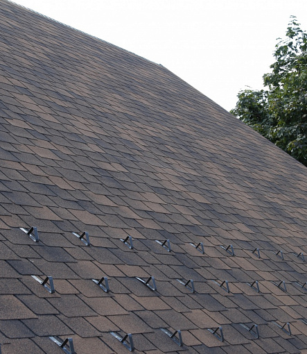 Bitumen Shingles, Series Premium, Collection Sapporo, Color Coffee - 8