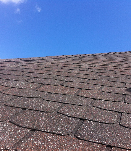 Bitumen Shingles, Series Premium, Collection Zurich, Color Raisins - 11