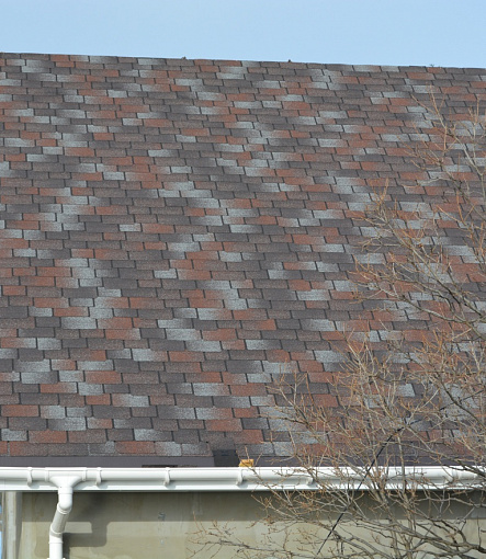 Bitumen Shingles, Series Premium, Collection Sapporo, Color Plum - 7