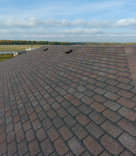 Bitumen Shingles, Series Premium, Collection Geneva, Color Raisins - 87