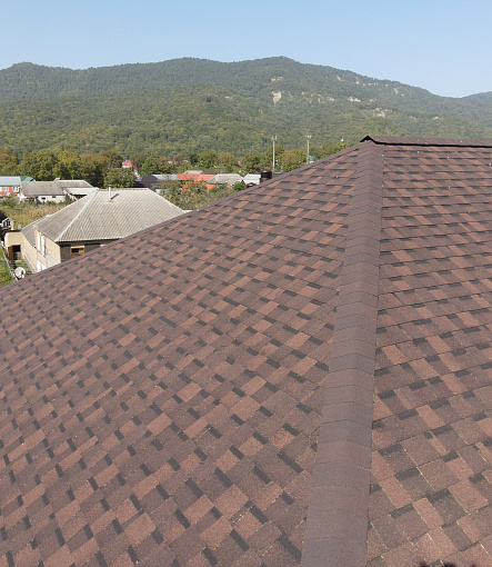 Laminated shingles, DRAGON PREMIUM Series, Chestnut - 1