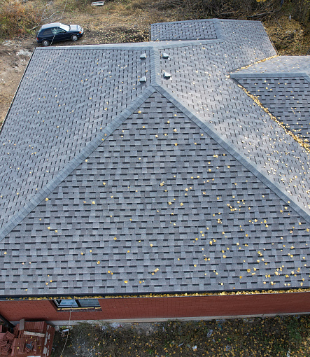 Laminated shingles, DRAGON PREMIUM Series, Halva - 4