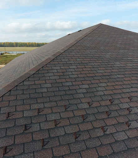 Bitumen Shingles, Series Premium, Collection Geneva, Color Raisins - 58