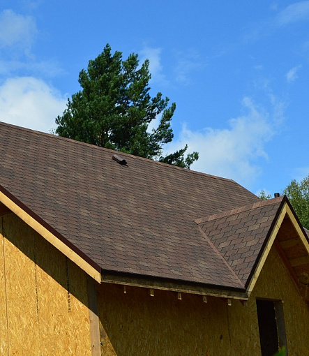 Bitumen Shingles, Series Premium, Collection Zurich, Color Raisins - 8