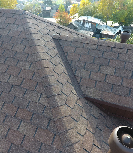 Bitumen Shingles, Series Premium, Collection Zurich, Color Peanut - 99