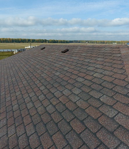 Bitumen Shingles, Series Premium, Collection Geneva, Color Raisins - 88