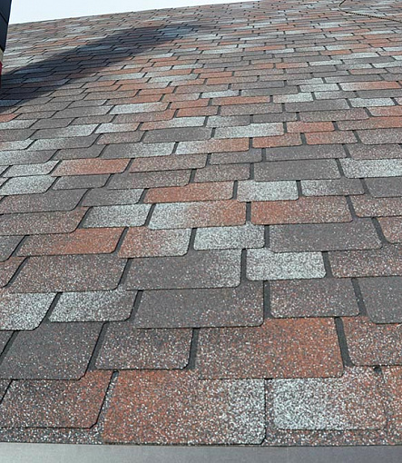 Bitumen Shingles, PREMIUM, SAPPORO, Prune - 5