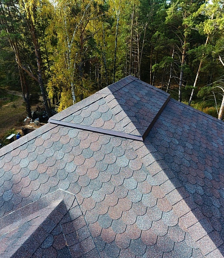 Bitumen Shingles, PREMIUM, LIEGE, Raisin - 2
