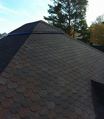 Bitumen Shingles, PREMIUM, LIEGE, Raisin - 3