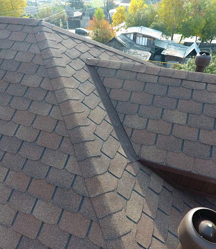 Bitumen Shingles, Series Premium, Collection Zurich, Color Peanut - 100