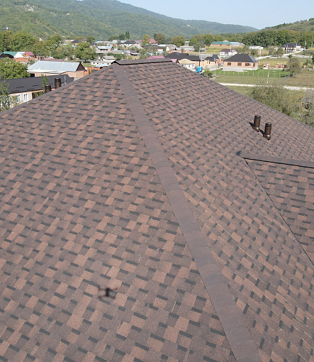 Laminated shingles, DRAGON PREMIUM Series, Chestnut - 3