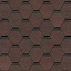 Chestnut