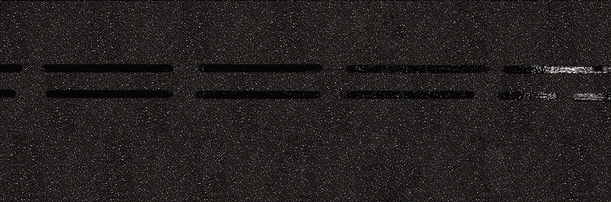 Ridge moulding Eurasia series, asphalt - 1