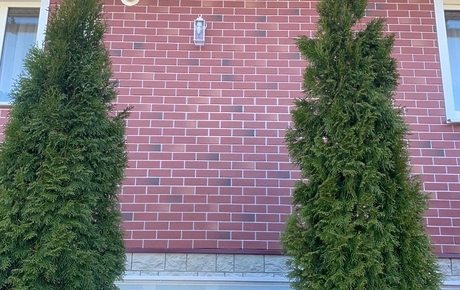 Facade panel Berg, Ruby - 22